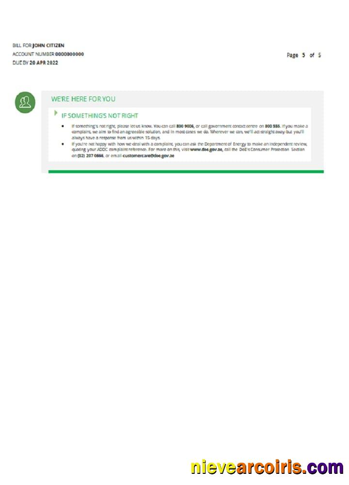 UAE Sharjah Al Ain Distribution Co utility bill 5 pages 5